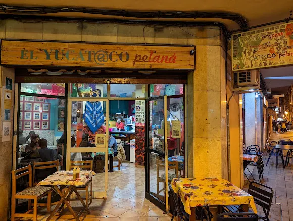 EL YUCATECO PELANÁ - Palma